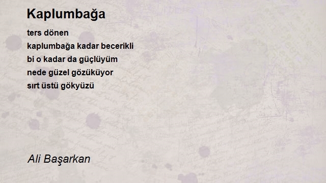 Ali Başarkan
