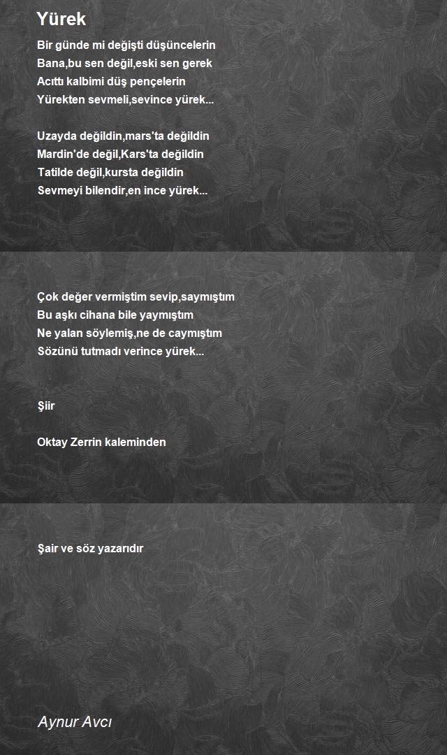 Aynur Avcı