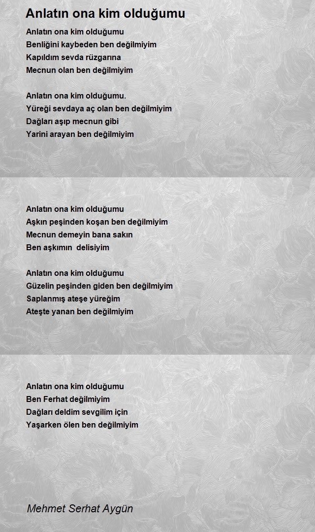 Mehmet Serhat Aygün