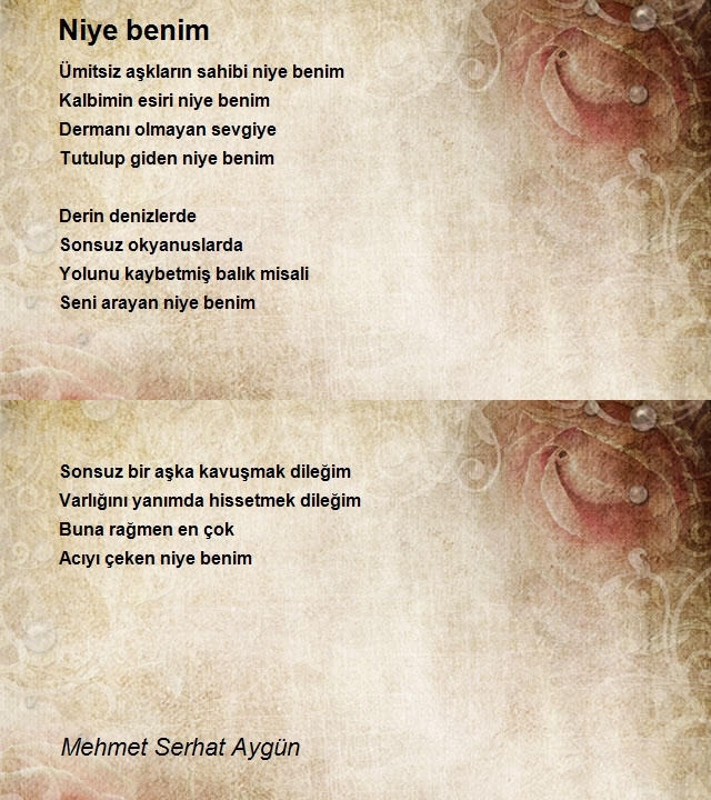 Mehmet Serhat Aygün