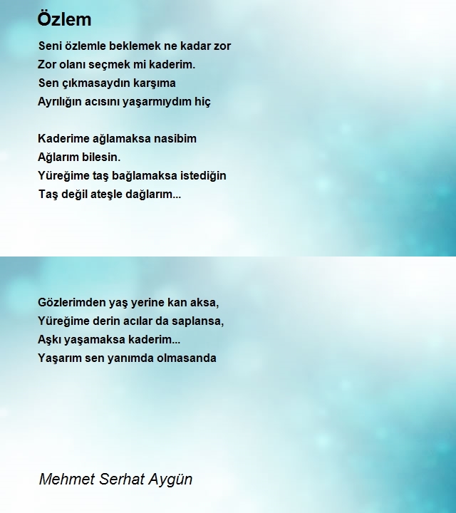Mehmet Serhat Aygün