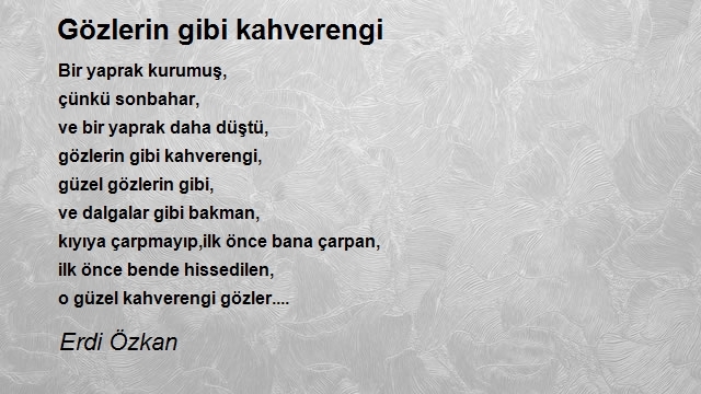 Erdi Özkan