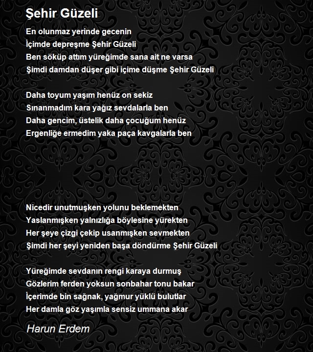 Harun Erdem