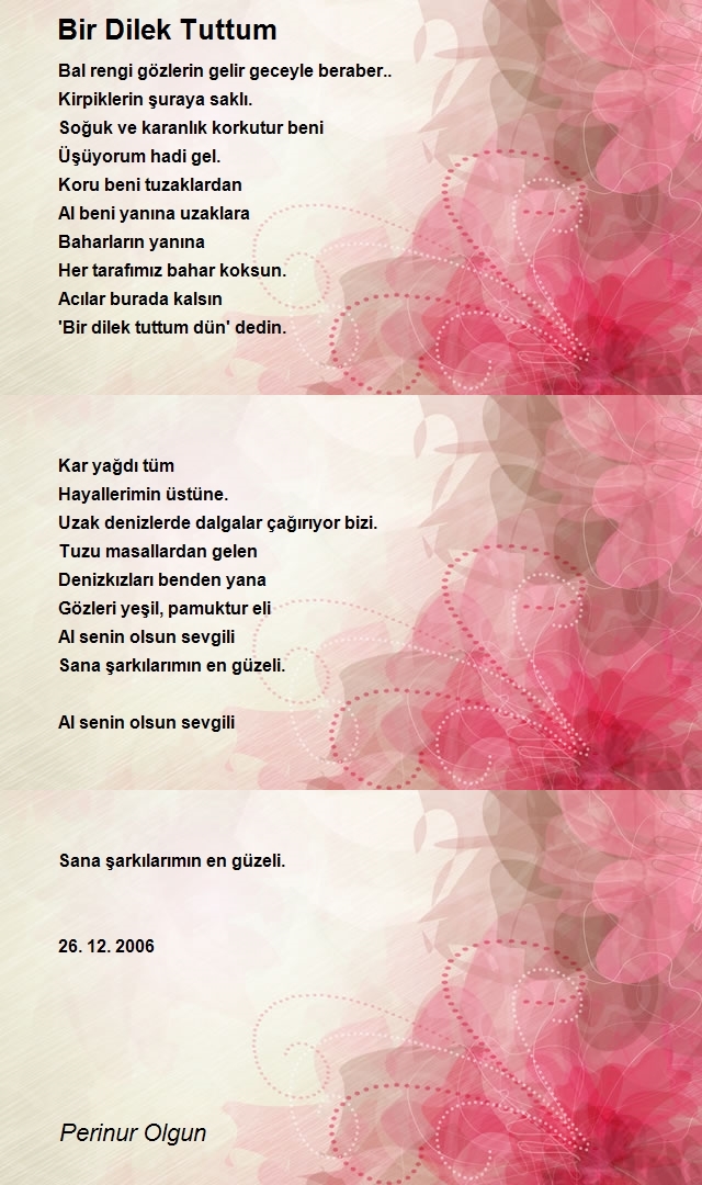 Perinur Olgun