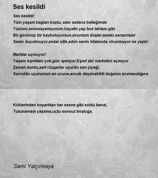 Sami Yalçınkaya