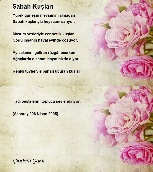 Çiğdem Çakır