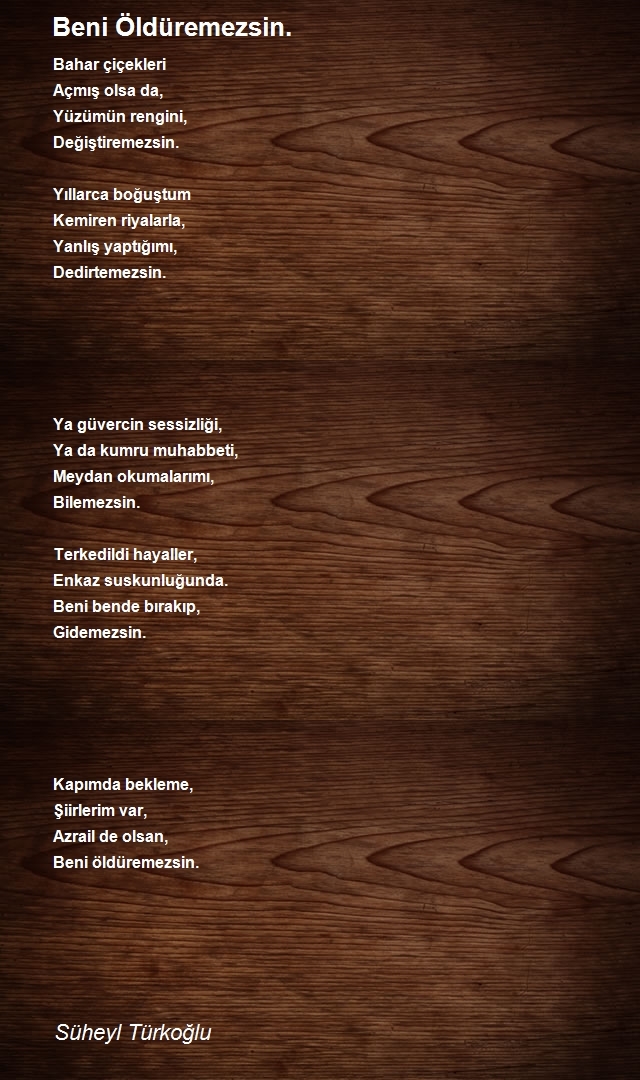 Süheyl Türkoğlu