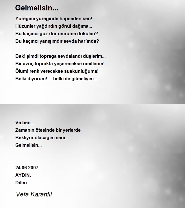 Vefa Karanfil
