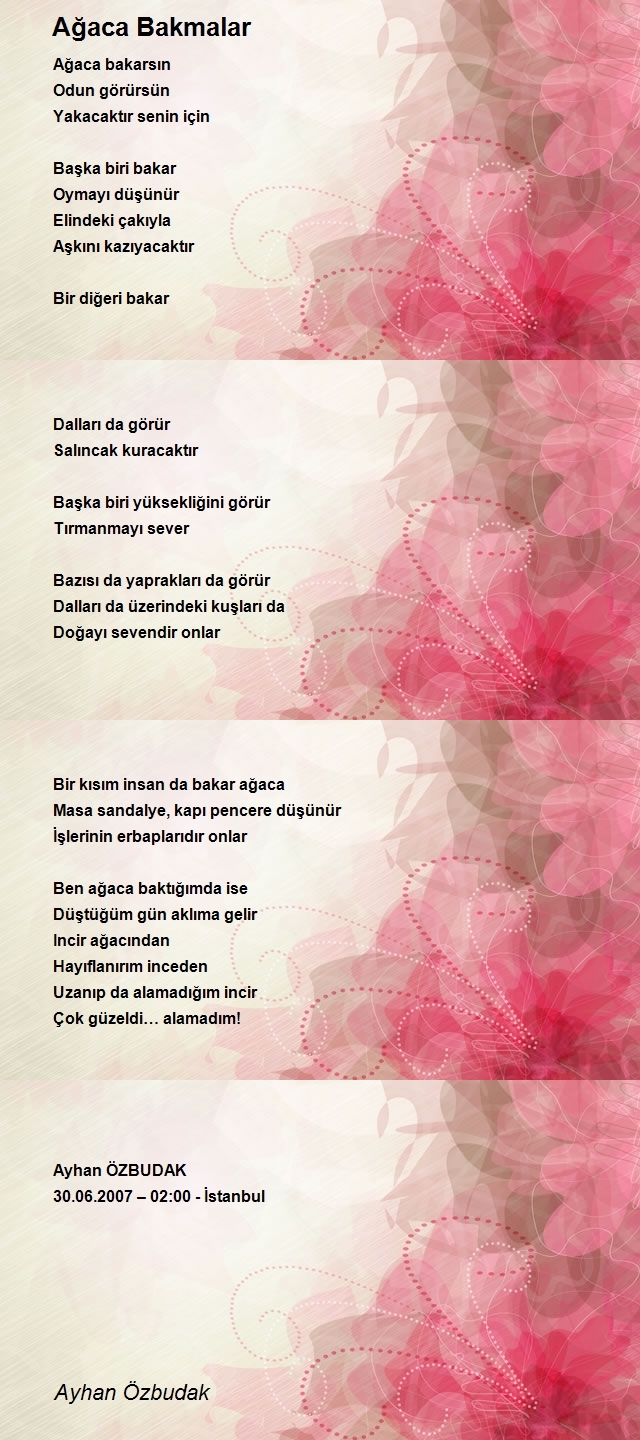 Ayhan Özbudak