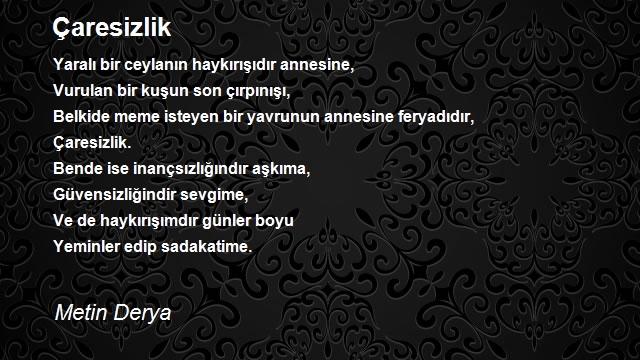 Metin Derya
