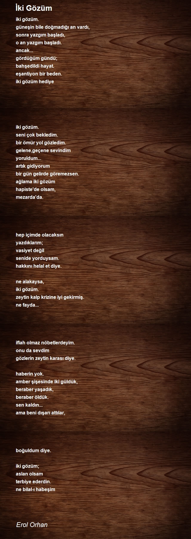 Erol Orhan
