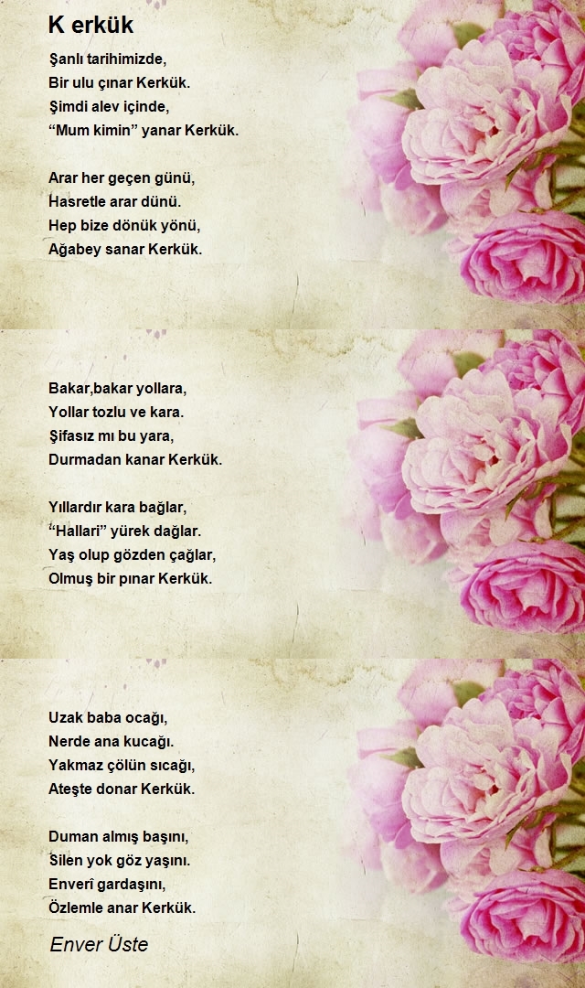 Enver Üste
