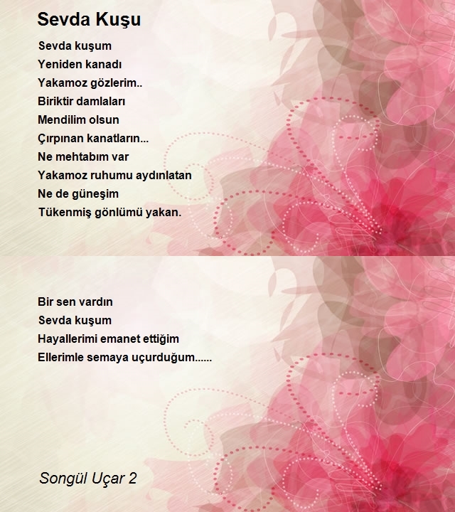 Songül Uçar 2