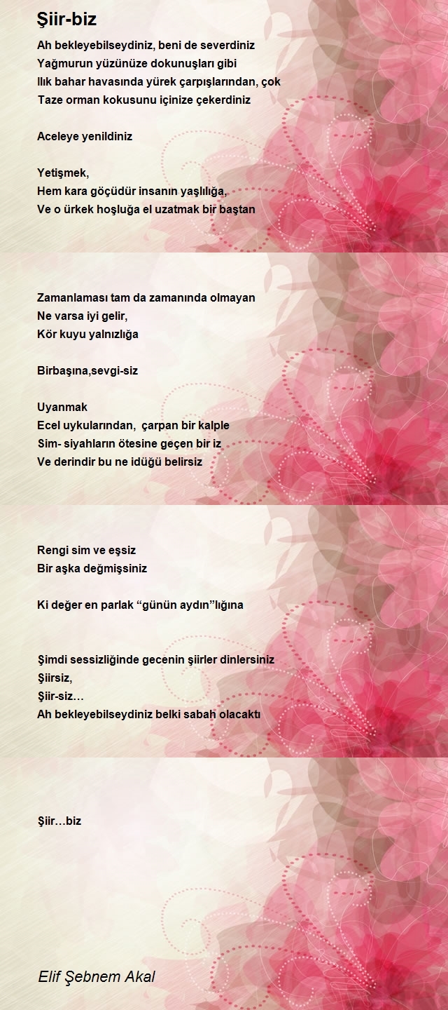 Elif Şebnem Akal