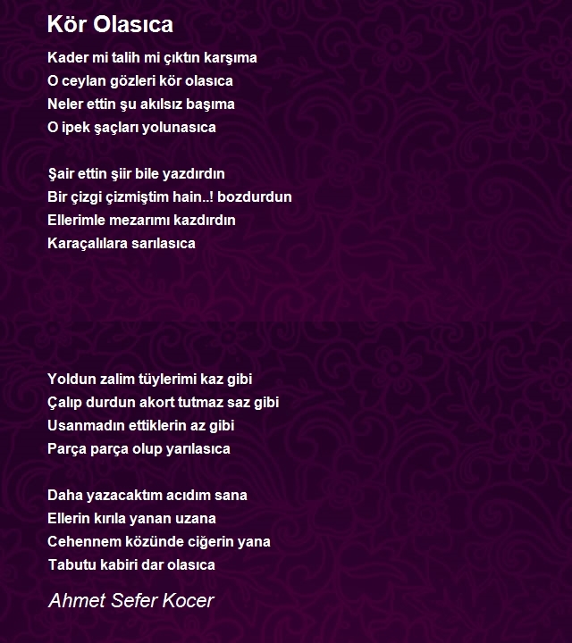 Ahmet Sefer Kocer