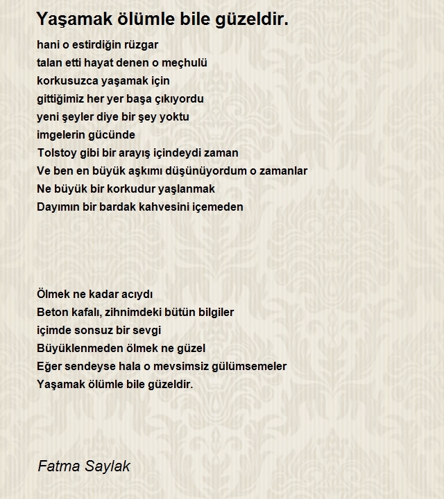 Fatma Saylak