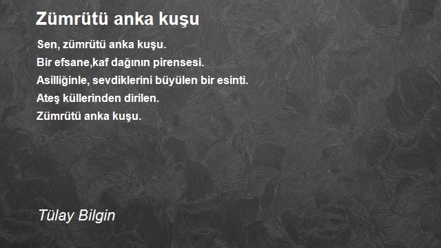 Tülay Bilgin