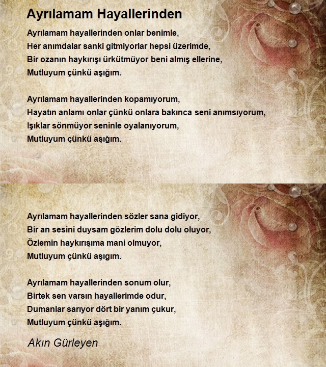 Akın Gürleyen