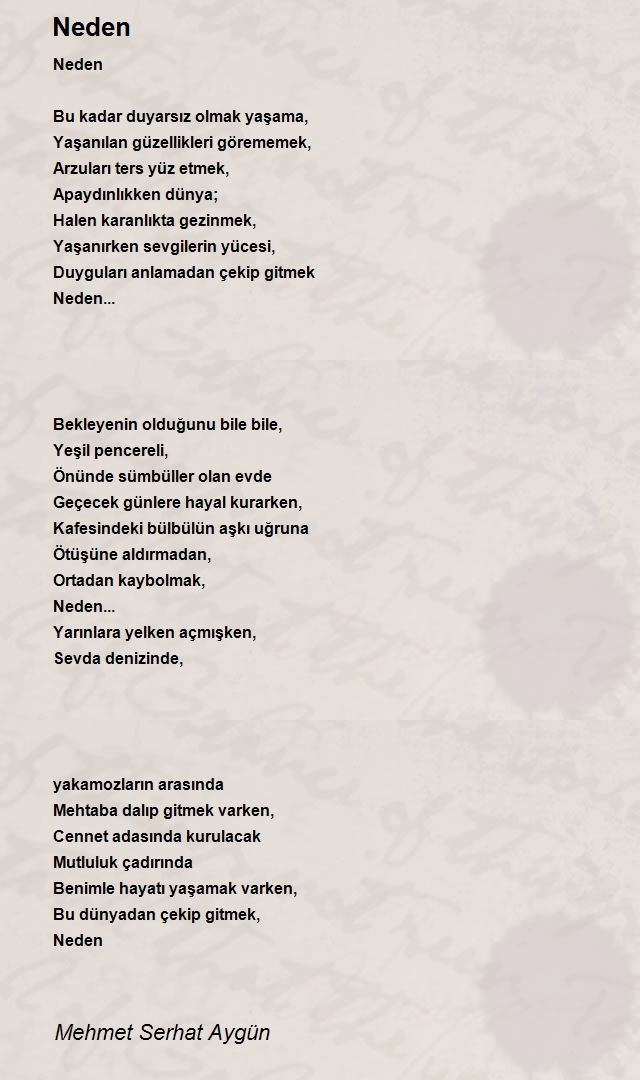 Mehmet Serhat Aygün
