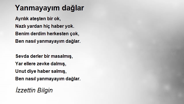 İzzettin Bilgin