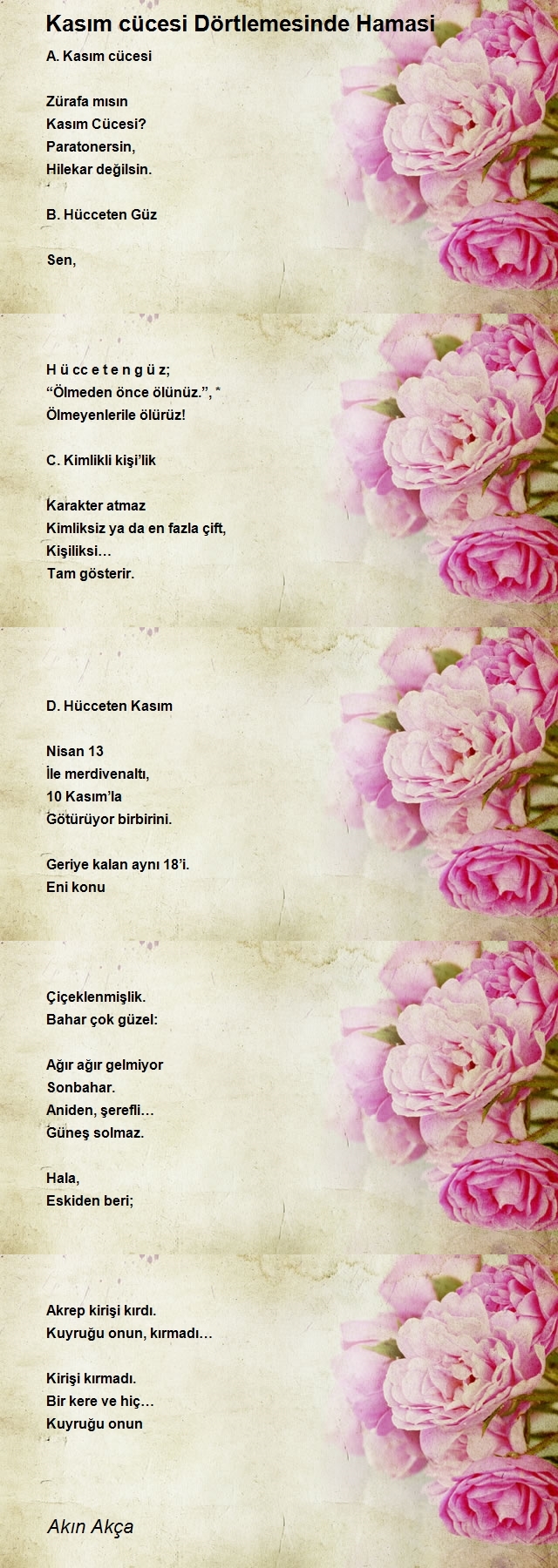 Akın Akça