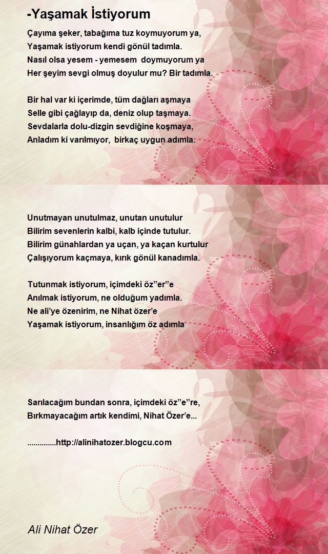 Ali Nihat Özer