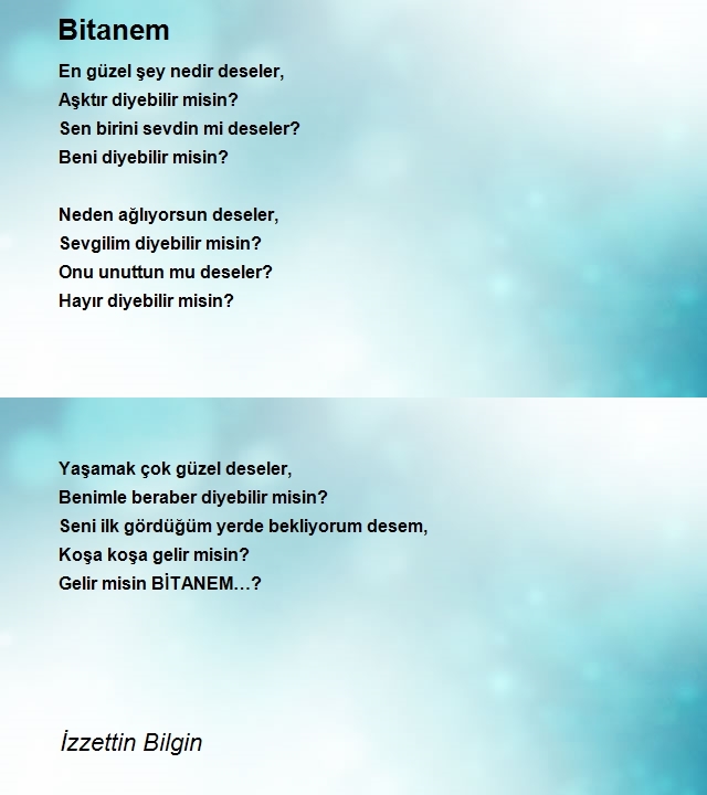 İzzettin Bilgin