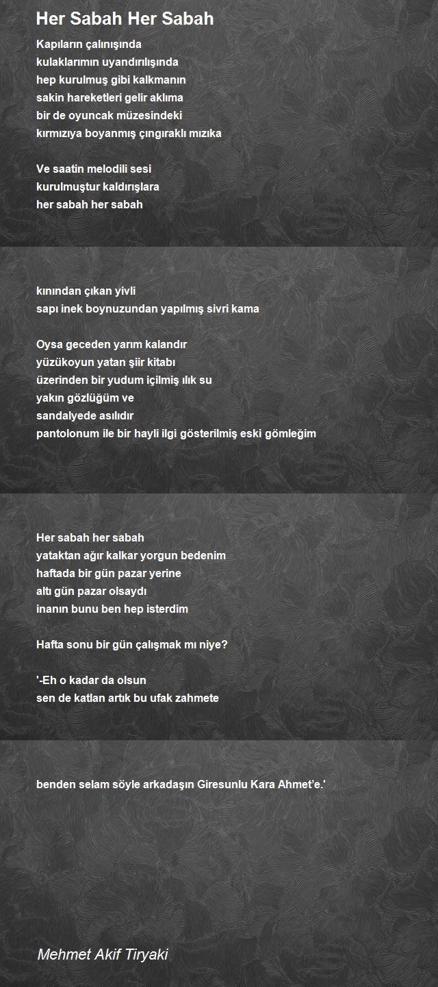 Mehmet Akif Tiryaki