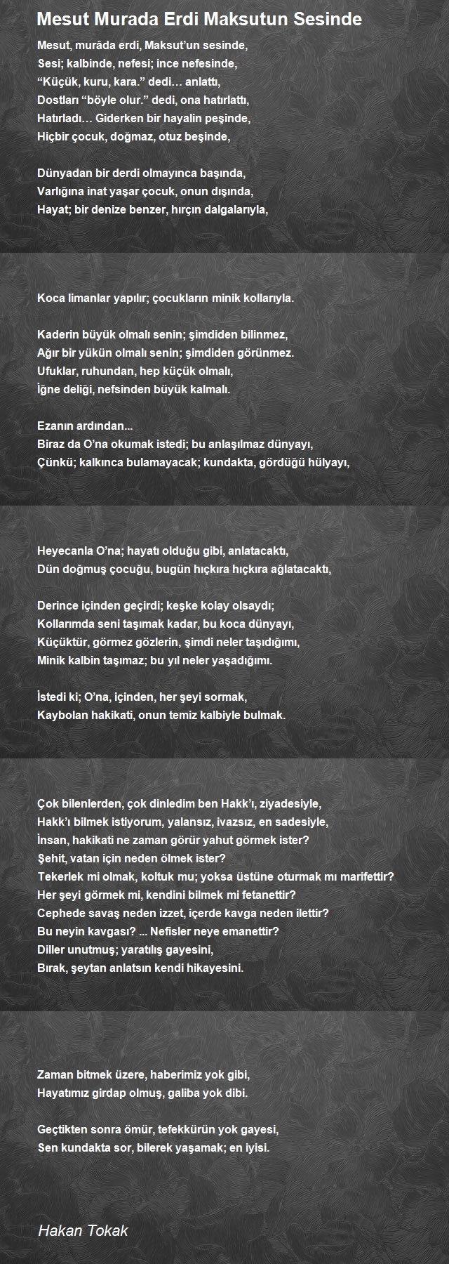 Hakan Tokak