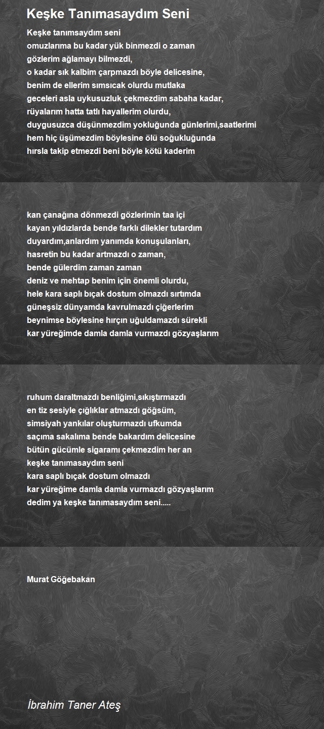 İbrahim Taner Ateş