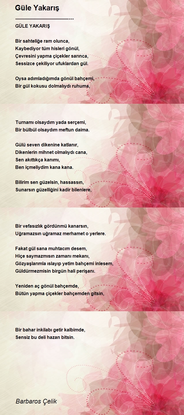 Barbaros Çelik