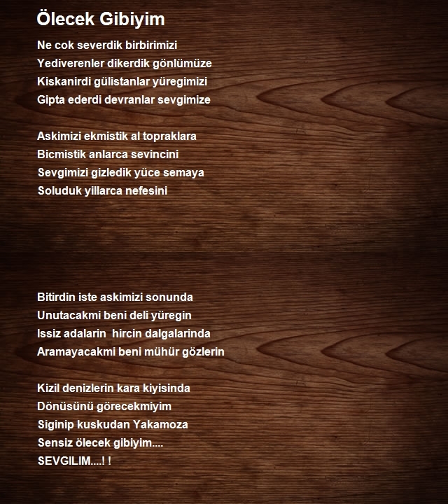 Hüsniye Yigit