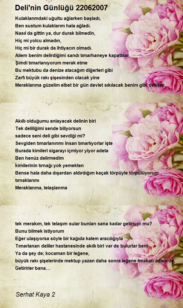 Serhat Kaya 2