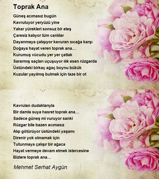 Mehmet Serhat Aygün