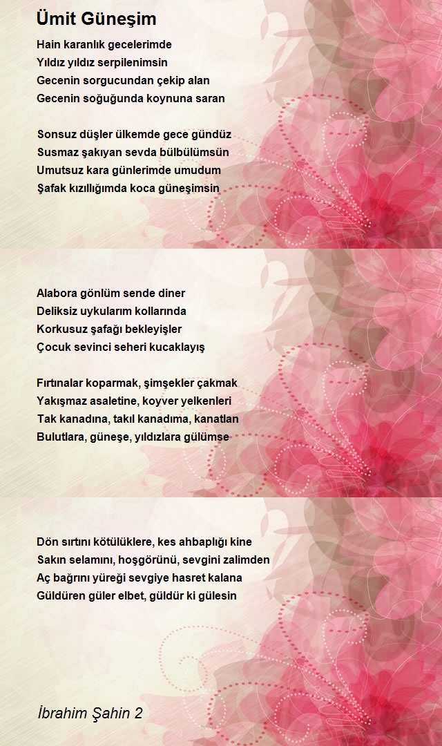 İbrahim Şahin 2