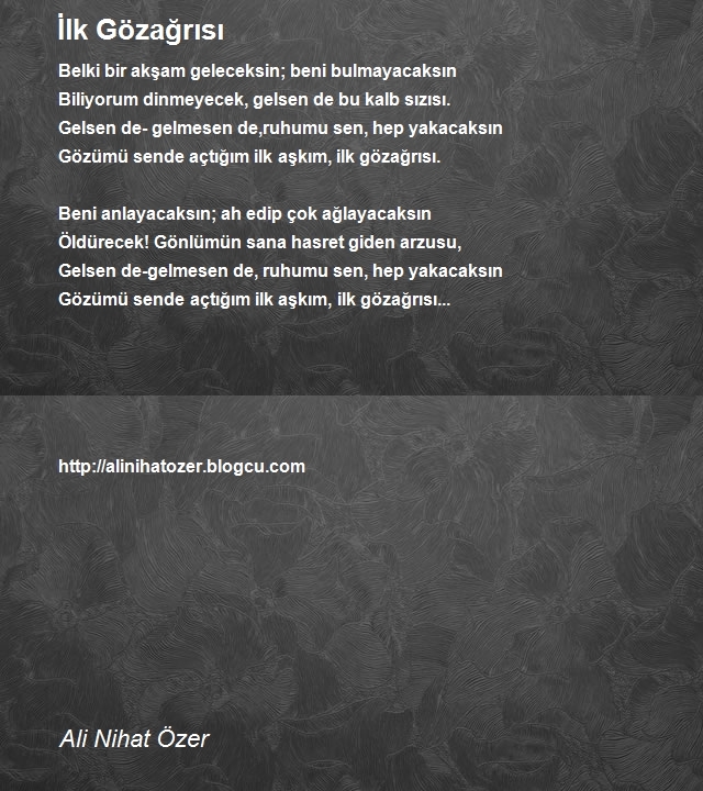 Ali Nihat Özer