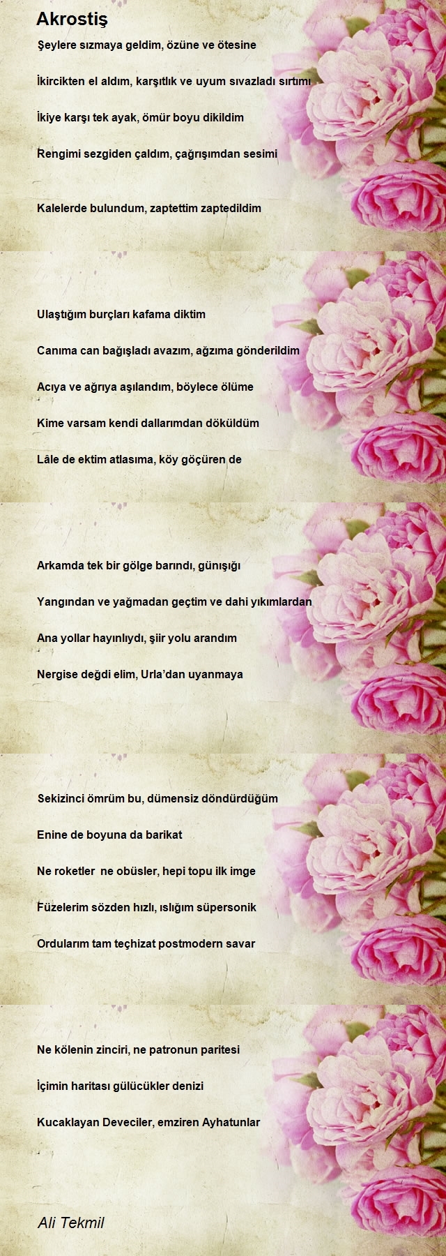 Ali Tekmil