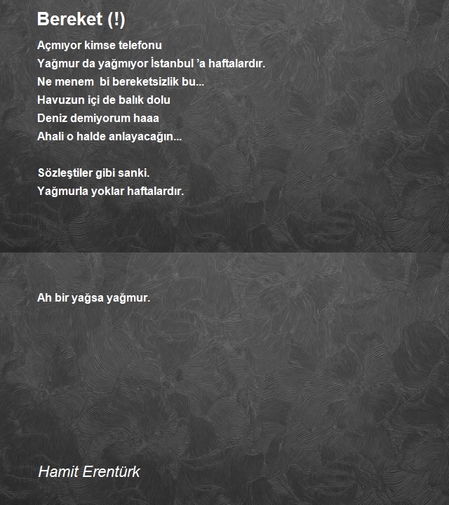 Hamit Erentürk