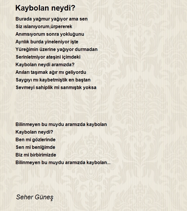 Seher Güneş