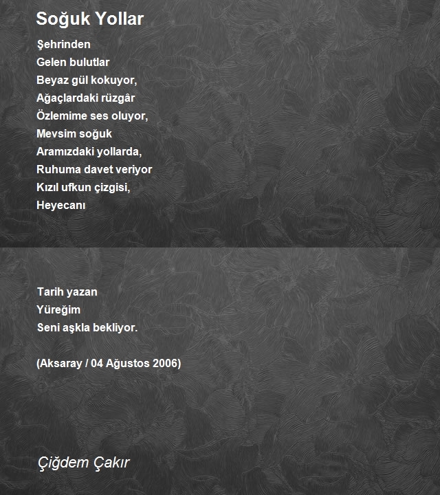 Çiğdem Çakır