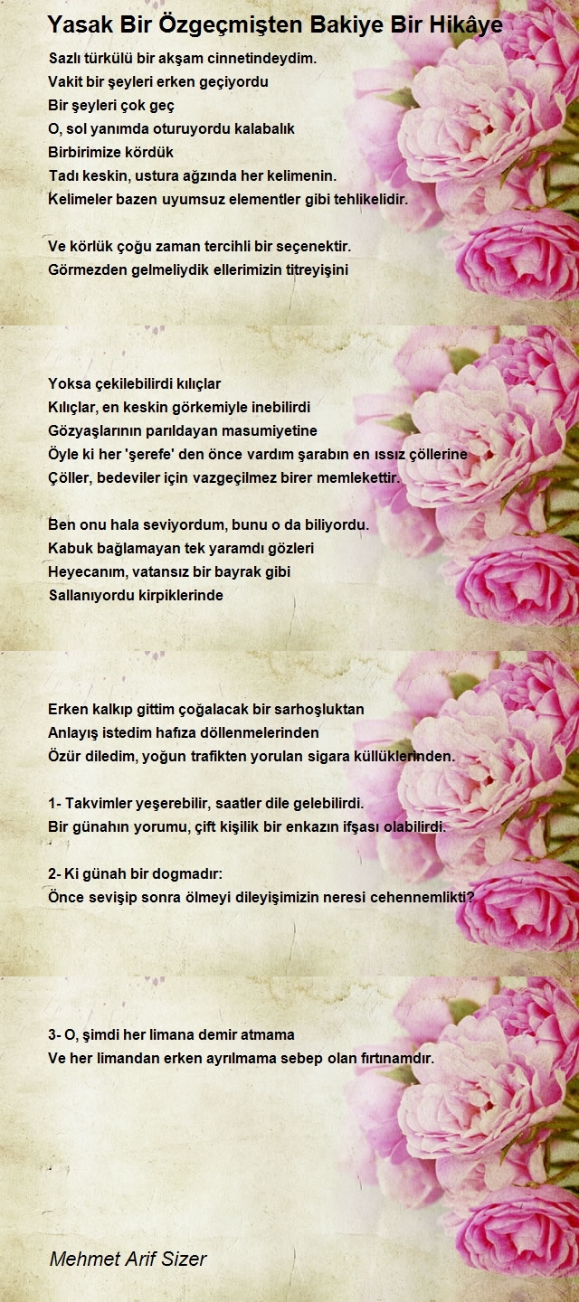 Mehmet Arif Sizer