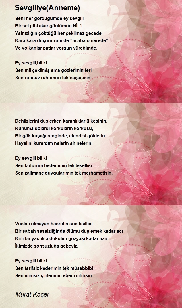 Murat Kaçer