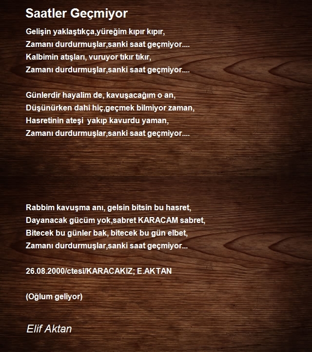 Elif Aktan
