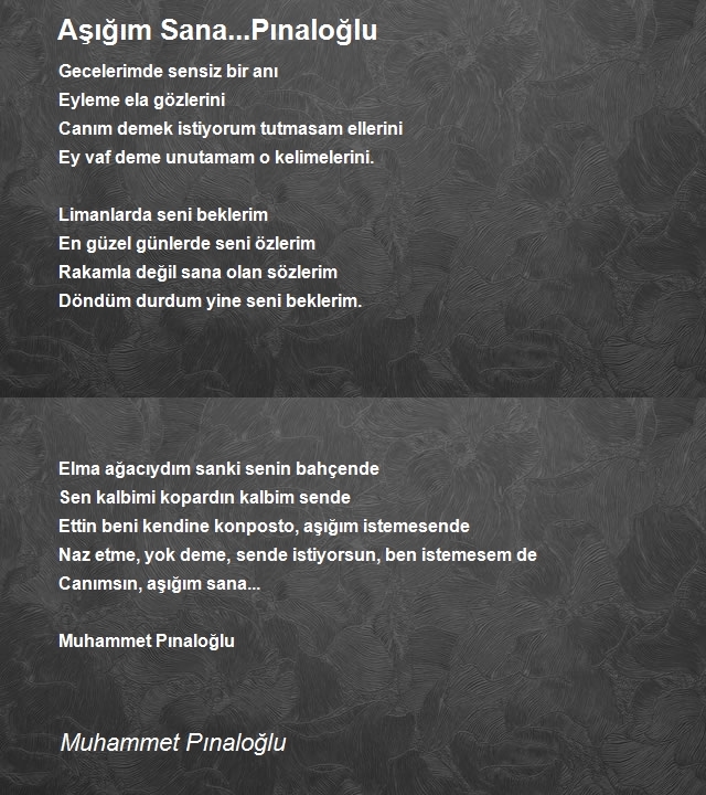 Muhammet Pınaloğlu