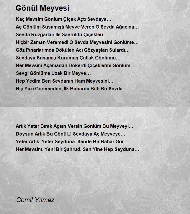 Cemil Yılmaz