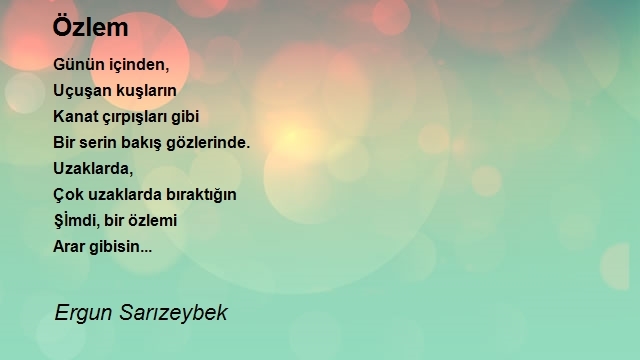 Ergun Sarızeybek