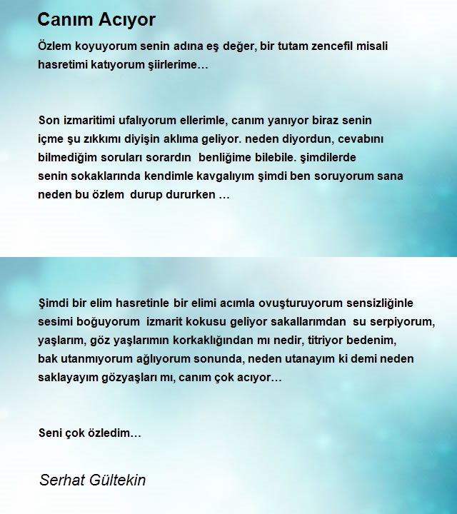 Serhat Gültekin