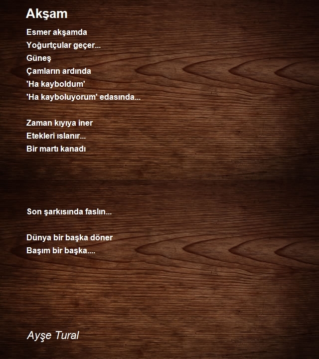 Ayşe Tural