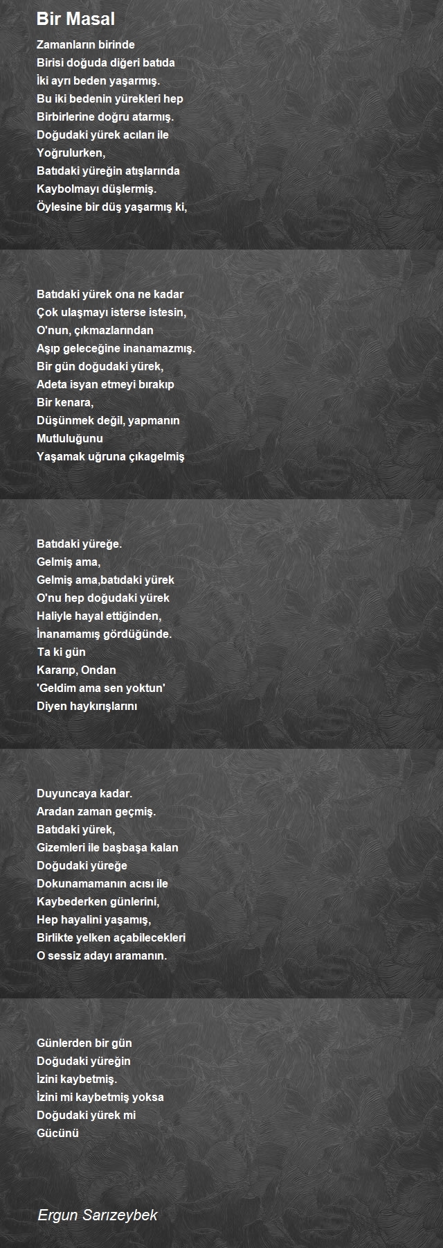 Ergun Sarızeybek