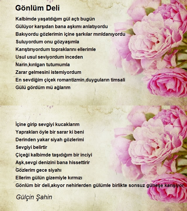 Gülçin Şahin